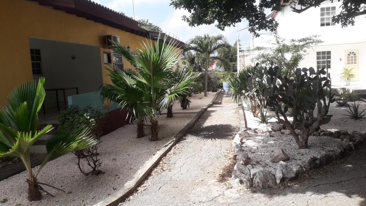 Happy Turtle Apartments يلمستاد المظهر الخارجي الصورة