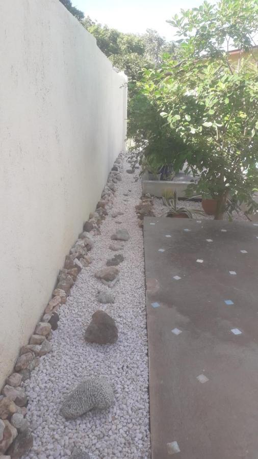 Happy Turtle Apartments يلمستاد المظهر الخارجي الصورة