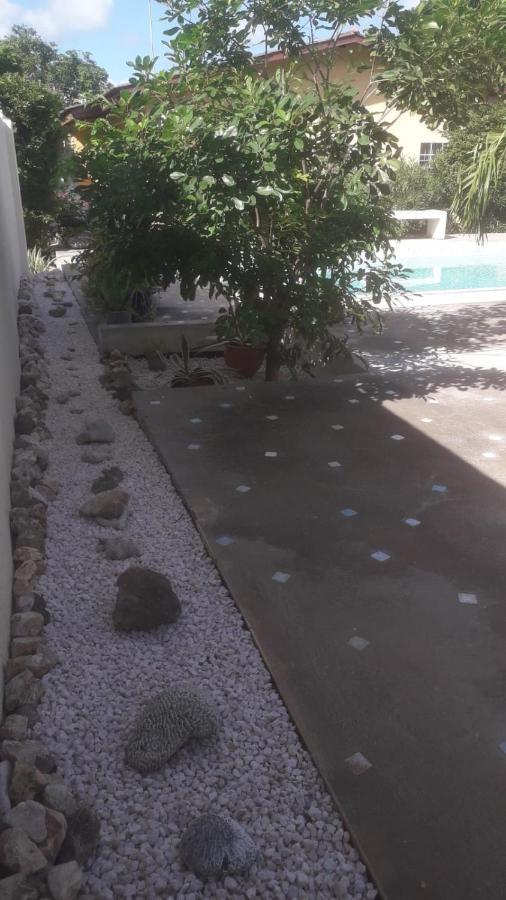 Happy Turtle Apartments يلمستاد المظهر الخارجي الصورة