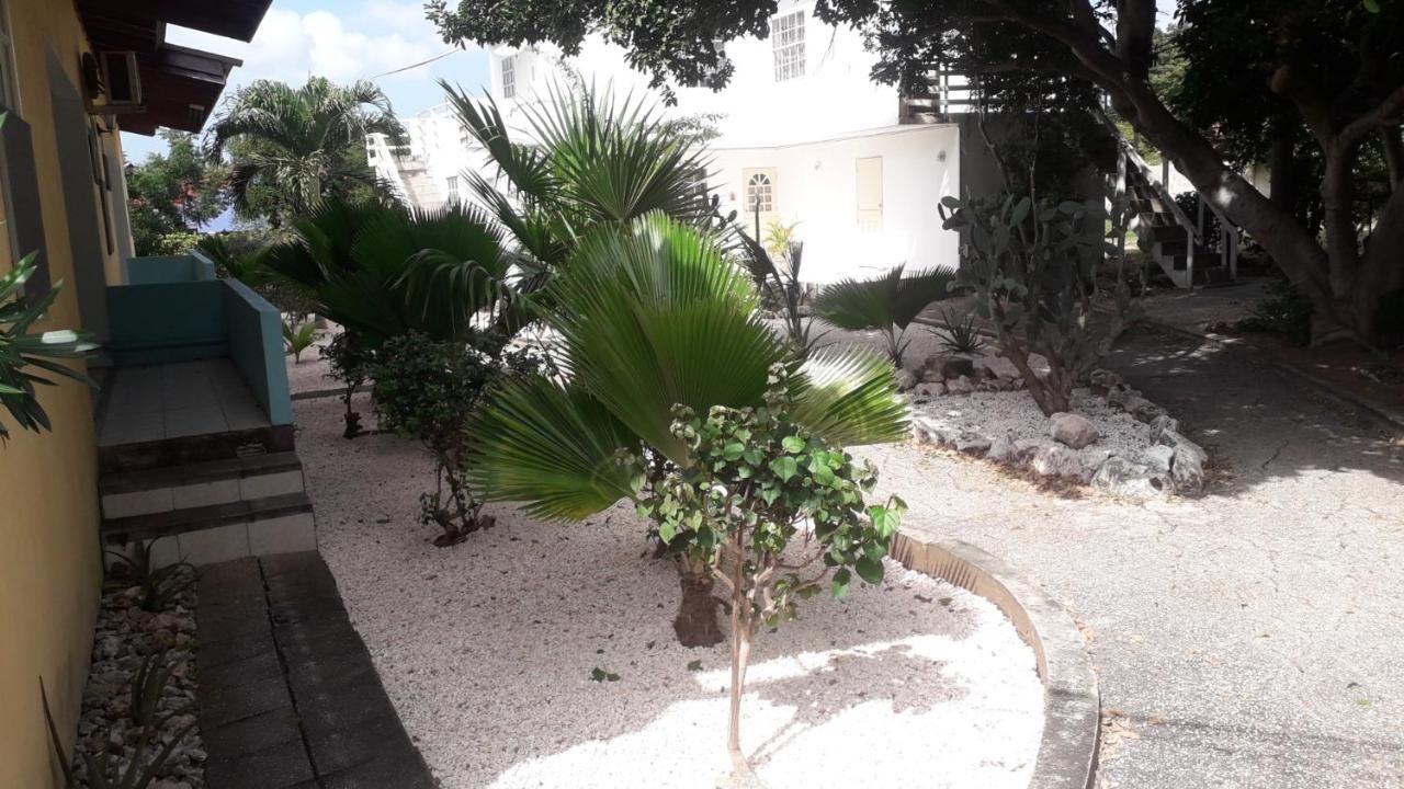 Happy Turtle Apartments يلمستاد المظهر الخارجي الصورة