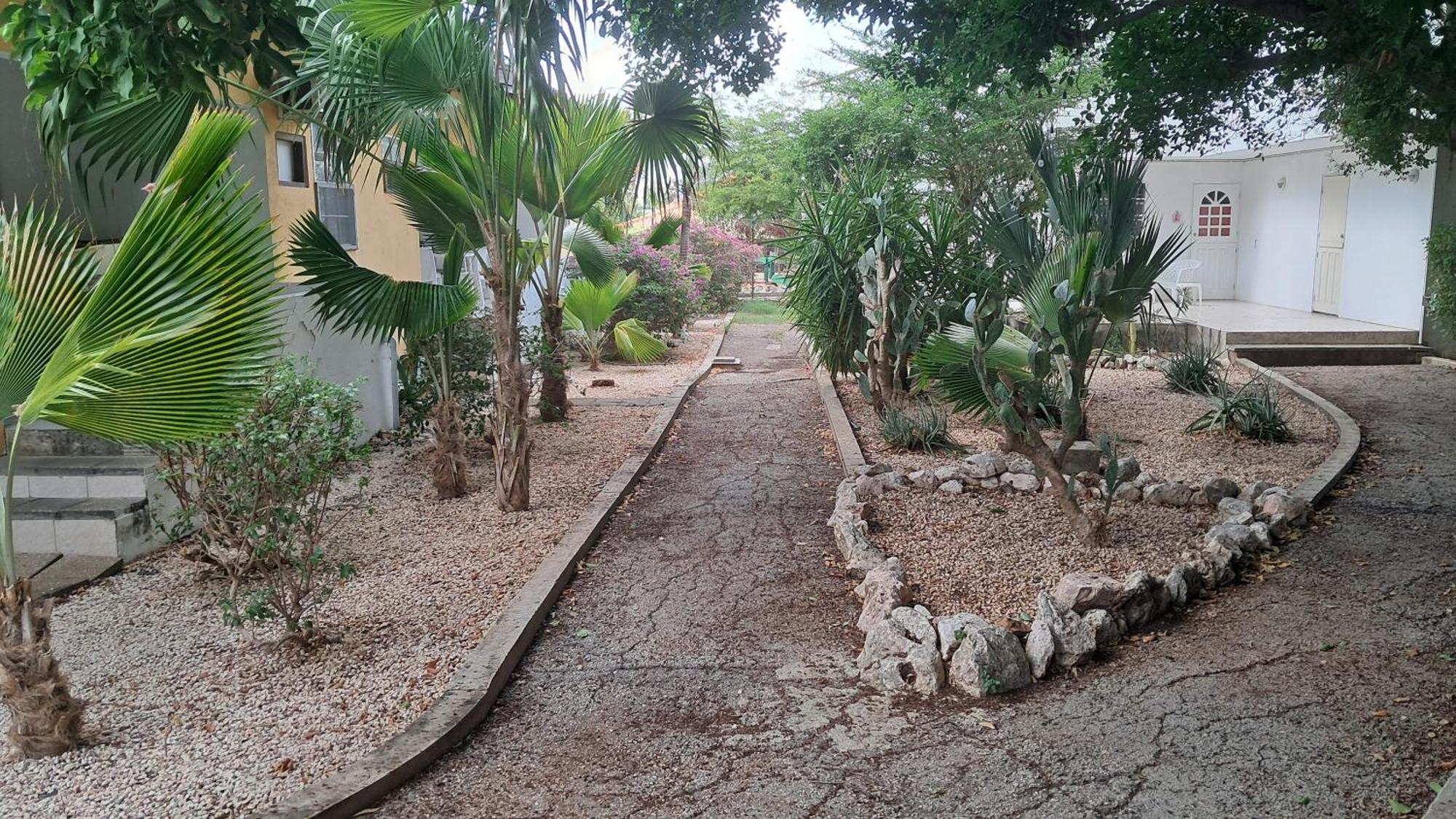 Happy Turtle Apartments يلمستاد المظهر الخارجي الصورة