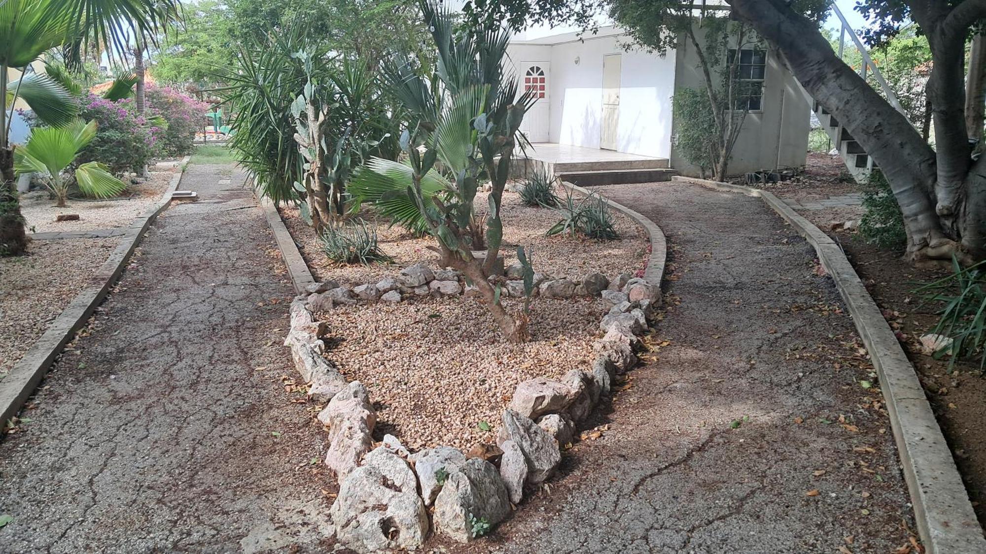 Happy Turtle Apartments يلمستاد المظهر الخارجي الصورة