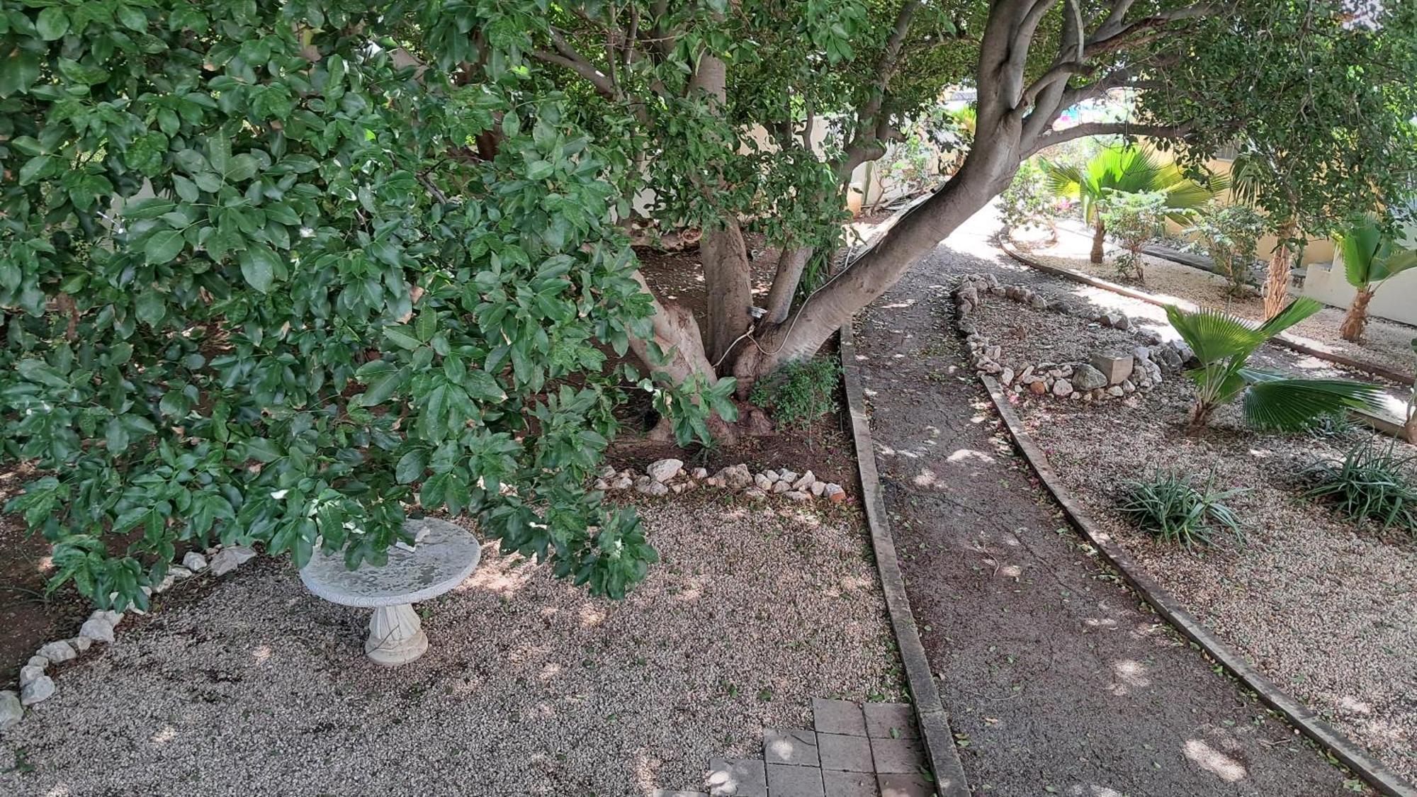 Happy Turtle Apartments يلمستاد المظهر الخارجي الصورة